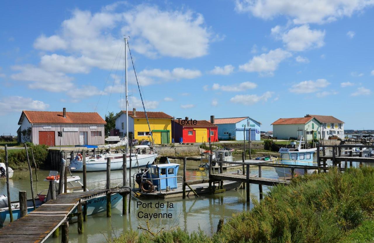 Entre Plage Et Marais Bourcefranc Exterior foto